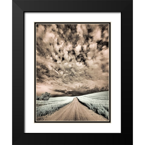 USA-Washington State-Palouse-Backcountry road through wheat field and clouds Black Modern Wood Framed Art Print with Double Matting by Eggers, Terry