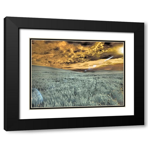USA-Washington State-Palouse-wheat field and clouds Black Modern Wood Framed Art Print with Double Matting by Eggers, Terry