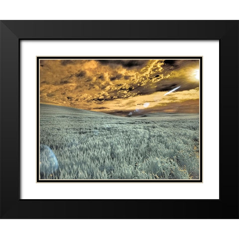 USA-Washington State-Palouse-wheat field and clouds Black Modern Wood Framed Art Print with Double Matting by Eggers, Terry