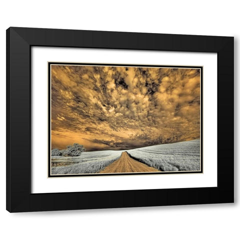 USA-Washington State-Palouse-Backcountry road through wheat field and clouds Black Modern Wood Framed Art Print with Double Matting by Eggers, Terry
