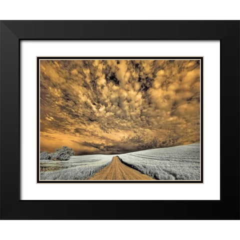 USA-Washington State-Palouse-Backcountry road through wheat field and clouds Black Modern Wood Framed Art Print with Double Matting by Eggers, Terry