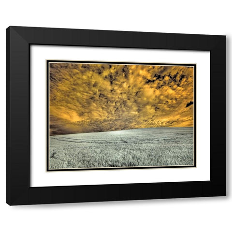 USA-Washington State-Palouse-wheat field and clouds Black Modern Wood Framed Art Print with Double Matting by Eggers, Terry