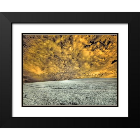 USA-Washington State-Palouse-wheat field and clouds Black Modern Wood Framed Art Print with Double Matting by Eggers, Terry