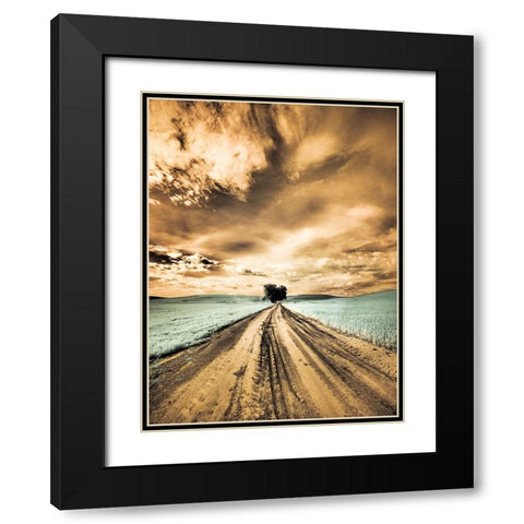 USA-Washington State-Palouse-Backcountry road through wheat field with lone tree and clouds Black Modern Wood Framed Art Print with Double Matting by Eggers, Terry