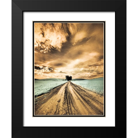USA-Washington State-Palouse-Backcountry road through wheat field with lone tree and clouds Black Modern Wood Framed Art Print with Double Matting by Eggers, Terry