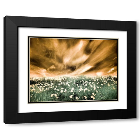 USA-Washington State-Palouse-Spring Poppies and Backcountry road through wheat field and clouds Black Modern Wood Framed Art Print with Double Matting by Eggers, Terry
