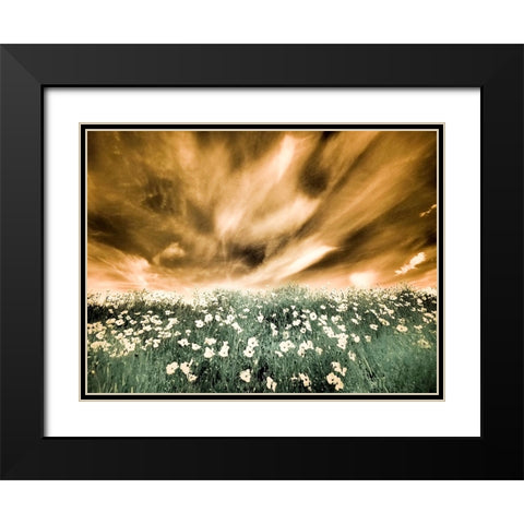 USA-Washington State-Palouse-Spring Poppies and Backcountry road through wheat field and clouds Black Modern Wood Framed Art Print with Double Matting by Eggers, Terry