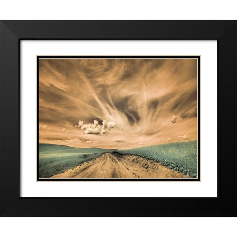 USA-Washington State-Palouse-Backcountry road through canola field and clouds Black Modern Wood Framed Art Print with Double Matting by Eggers, Terry