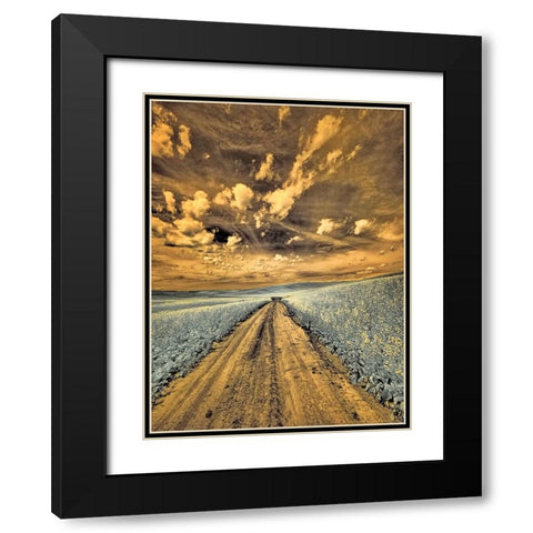 USA-Washington State-Palouse-Backcountry road through canola field and clouds Black Modern Wood Framed Art Print with Double Matting by Eggers, Terry