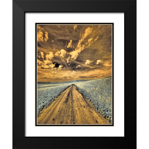 USA-Washington State-Palouse-Backcountry road through canola field and clouds Black Modern Wood Framed Art Print with Double Matting by Eggers, Terry