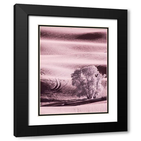 USA-Washington State-Palouse region-Lone tree in Field Black Modern Wood Framed Art Print with Double Matting by Eggers, Terry