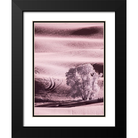 USA-Washington State-Palouse region-Lone tree in Field Black Modern Wood Framed Art Print with Double Matting by Eggers, Terry