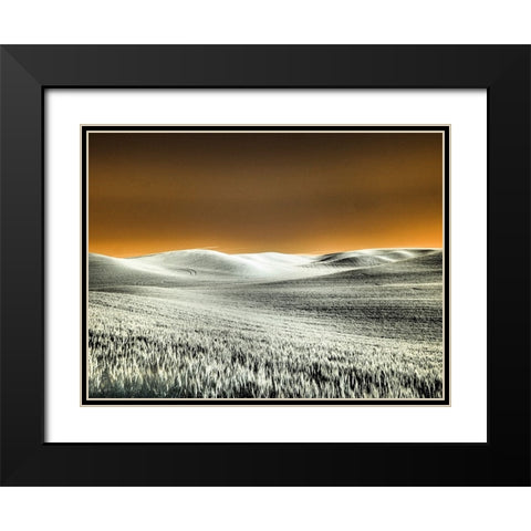 USA-Washington State-Palouse region-Rolling Hills of wheat Black Modern Wood Framed Art Print with Double Matting by Eggers, Terry