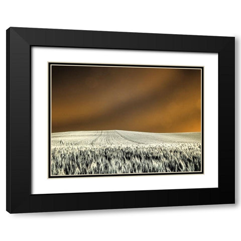 USA-Washington State-Palouse region-Rolling Hills of wheat Black Modern Wood Framed Art Print with Double Matting by Eggers, Terry