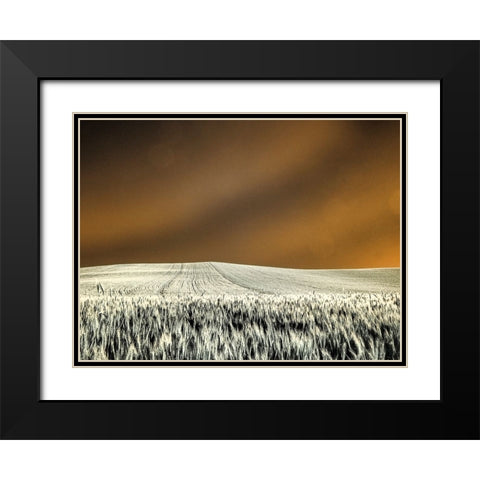 USA-Washington State-Palouse region-Rolling Hills of wheat Black Modern Wood Framed Art Print with Double Matting by Eggers, Terry