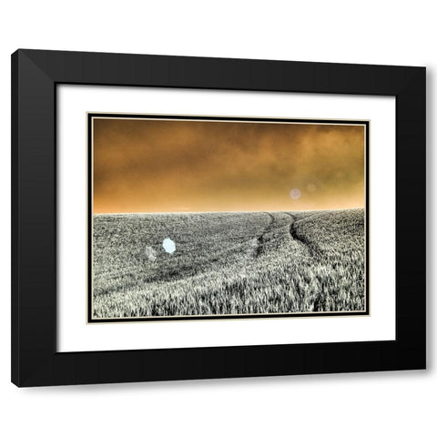 USA-Washington State-Palouse region-Rolling Hills of wheat Black Modern Wood Framed Art Print with Double Matting by Eggers, Terry