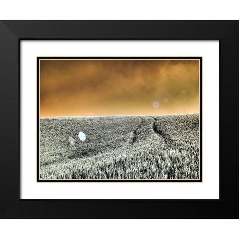 USA-Washington State-Palouse region-Rolling Hills of wheat Black Modern Wood Framed Art Print with Double Matting by Eggers, Terry