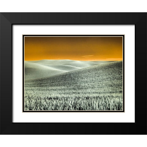 USA-Washington State-Palouse region-Rolling Hills of wheat Black Modern Wood Framed Art Print with Double Matting by Eggers, Terry