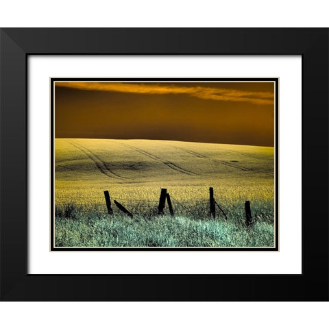 USA-Washington State-Palouse region-Fence and field of wheat Black Modern Wood Framed Art Print with Double Matting by Eggers, Terry