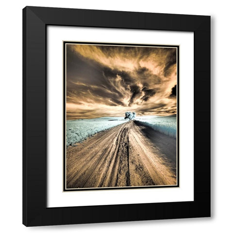 USA-Washington State-Palouse region-Backcountry road leading to Lone Tree Black Modern Wood Framed Art Print with Double Matting by Eggers, Terry