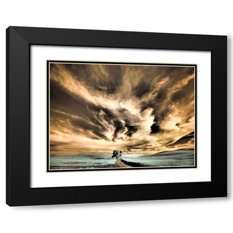 USA-Washington State-Palouse region-Backcountry road leading to Lone Tree Black Modern Wood Framed Art Print with Double Matting by Eggers, Terry
