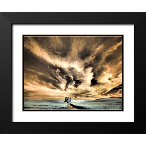 USA-Washington State-Palouse region-Backcountry road leading to Lone Tree Black Modern Wood Framed Art Print with Double Matting by Eggers, Terry