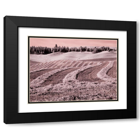 USA-Washington State-Palouse region-Harvest cut lines in Field Black Modern Wood Framed Art Print with Double Matting by Eggers, Terry
