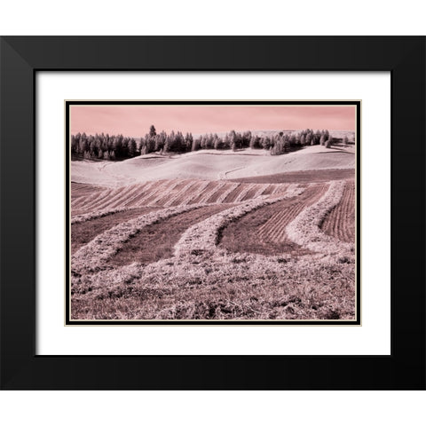 USA-Washington State-Palouse region-Harvest cut lines in Field Black Modern Wood Framed Art Print with Double Matting by Eggers, Terry