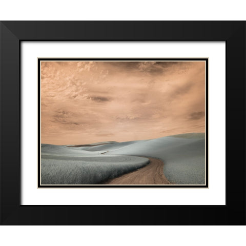 USA-Washington State-Palouse region-winding backcountry road through wheat fields Black Modern Wood Framed Art Print with Double Matting by Eggers, Terry