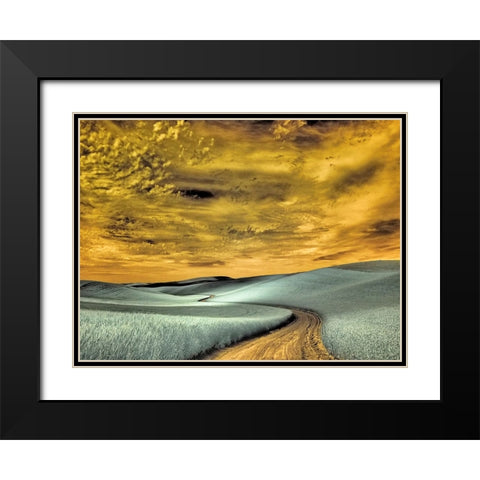 USA-Washington State-Palouse region-winding backcountry road through wheat fields Black Modern Wood Framed Art Print with Double Matting by Eggers, Terry