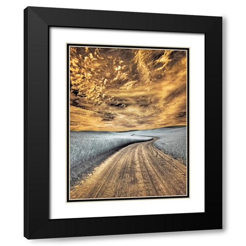 USA-Washington State-Palouse region-winding backcountry road through wheat fields Black Modern Wood Framed Art Print with Double Matting by Eggers, Terry