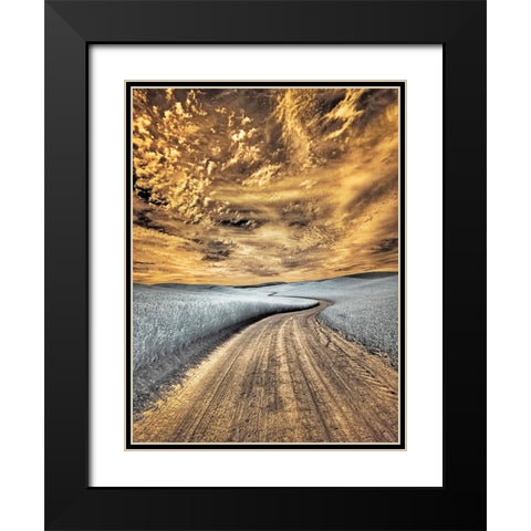 USA-Washington State-Palouse region-winding backcountry road through wheat fields Black Modern Wood Framed Art Print with Double Matting by Eggers, Terry