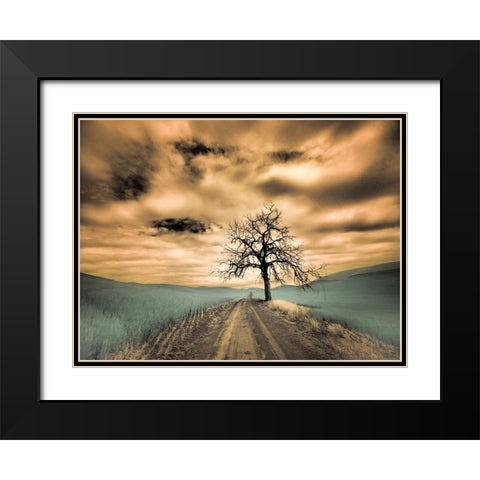 USA-Washington State-Palouse Infrared of lone tree along side country road Black Modern Wood Framed Art Print with Double Matting by Eggers, Terry