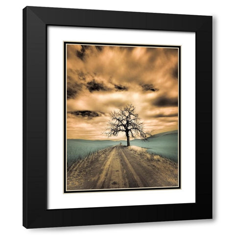 USA-Washington State-Palouse Infrared of lone tree along side country road Black Modern Wood Framed Art Print with Double Matting by Eggers, Terry
