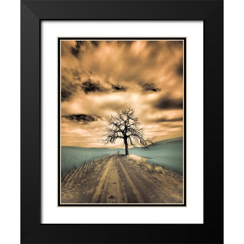 USA-Washington State-Palouse Infrared of lone tree along side country road Black Modern Wood Framed Art Print with Double Matting by Eggers, Terry