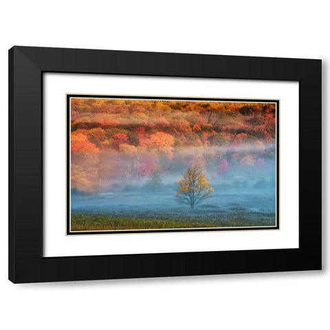 WV, Davis Misty valley and forest in Autumn Black Modern Wood Framed Art Print with Double Matting by OBrien, Jay