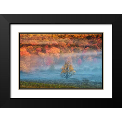 WV, Davis Misty valley and forest in Autumn Black Modern Wood Framed Art Print with Double Matting by OBrien, Jay