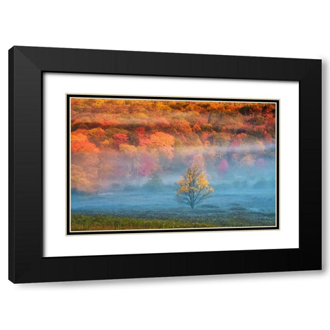 WV, Davis Mist and forest in autumn color Black Modern Wood Framed Art Print with Double Matting by OBrien, Jay