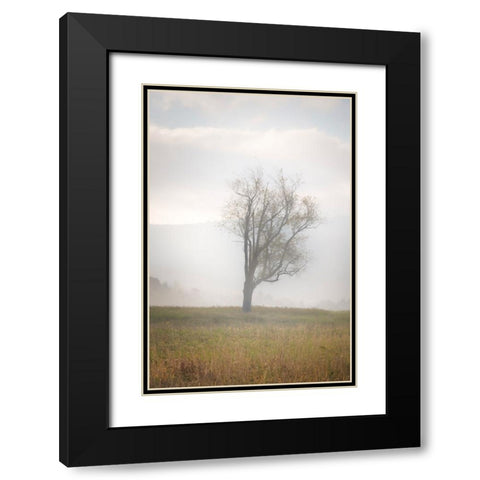 USA-West Virginia-Davis Lone tree in foggy field Black Modern Wood Framed Art Print with Double Matting by Jaynes Gallery