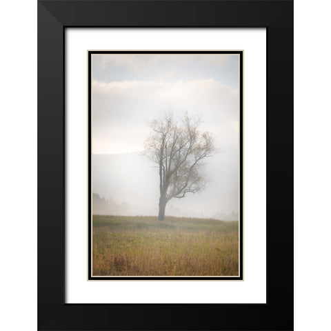 USA-West Virginia-Davis Lone tree in foggy field Black Modern Wood Framed Art Print with Double Matting by Jaynes Gallery