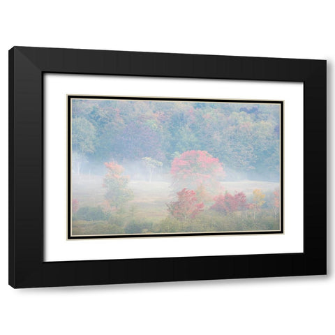 USA-West Virginia-Davis Foggy forest in fall colors Black Modern Wood Framed Art Print with Double Matting by Jaynes Gallery