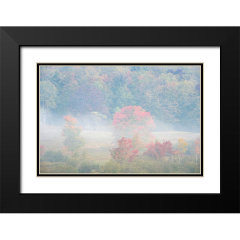 USA-West Virginia-Davis Foggy forest in fall colors Black Modern Wood Framed Art Print with Double Matting by Jaynes Gallery