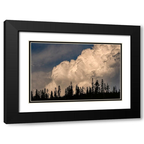 Trees silhouetted against cumulus cloud-Yellowstone National Park-Wyoming Black Modern Wood Framed Art Print with Double Matting by Jones, Adam