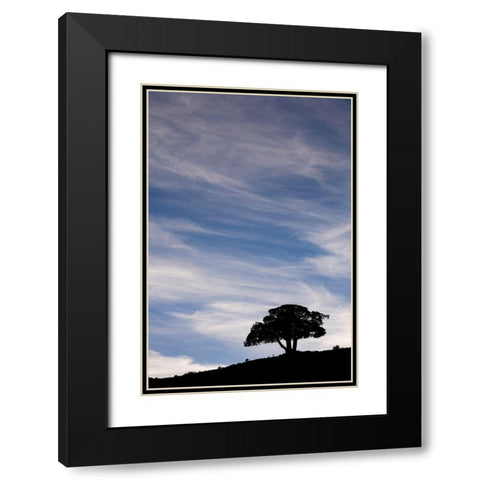 Single tree silhouetted at sunrise-Yellowstone National Park-Wyoming Black Modern Wood Framed Art Print with Double Matting by Jones, Adam