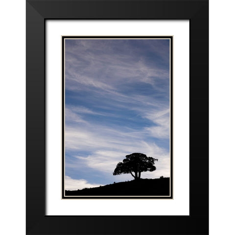 Single tree silhouetted at sunrise-Yellowstone National Park-Wyoming Black Modern Wood Framed Art Print with Double Matting by Jones, Adam