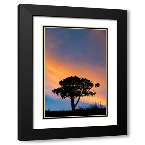 Single tree silhouetted at sunrise-Yellowstone National Park-Wyoming Black Modern Wood Framed Art Print with Double Matting by Jones, Adam