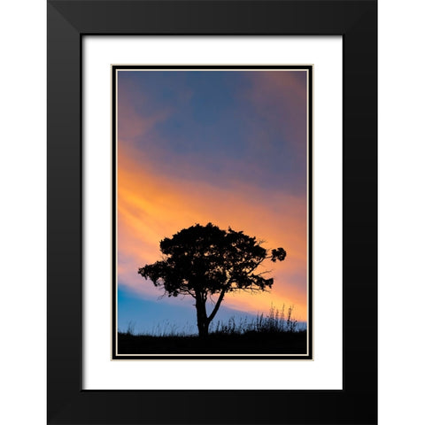 Single tree silhouetted at sunrise-Yellowstone National Park-Wyoming Black Modern Wood Framed Art Print with Double Matting by Jones, Adam