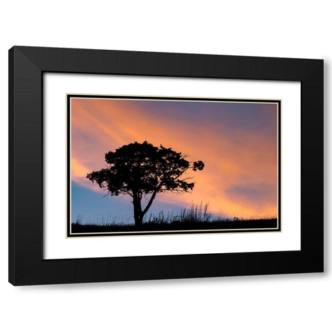 Single tree silhouetted at sunrise-Yellowstone National Park-Wyoming Black Modern Wood Framed Art Print with Double Matting by Jones, Adam