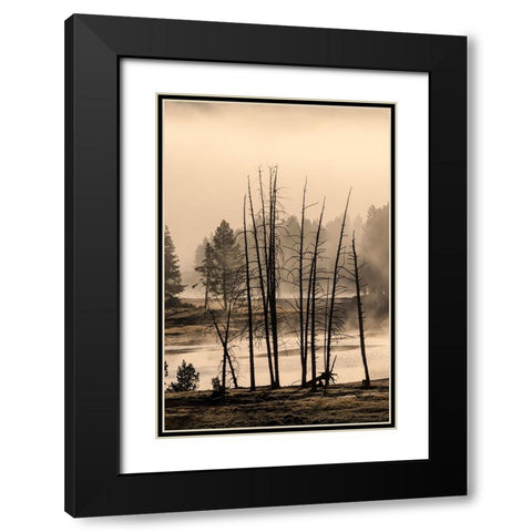 Dead trees near geothermal feature-Yellowstone National Park-Wyoming Black Modern Wood Framed Art Print with Double Matting by Jones, Adam