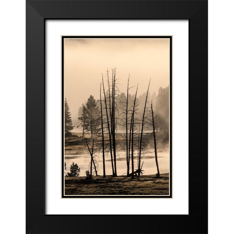Dead trees near geothermal feature-Yellowstone National Park-Wyoming Black Modern Wood Framed Art Print with Double Matting by Jones, Adam